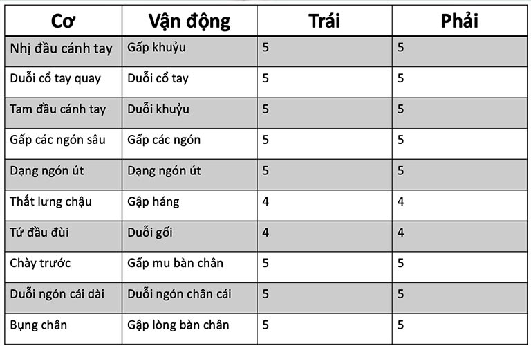 bảng đánh giá tình trạng vận động cơ và các khớp