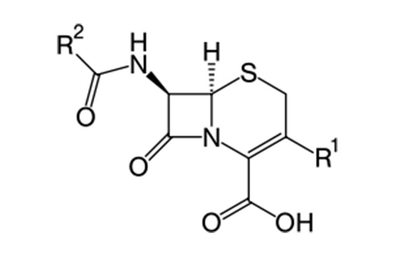 Kháng sinh Cephalosporin