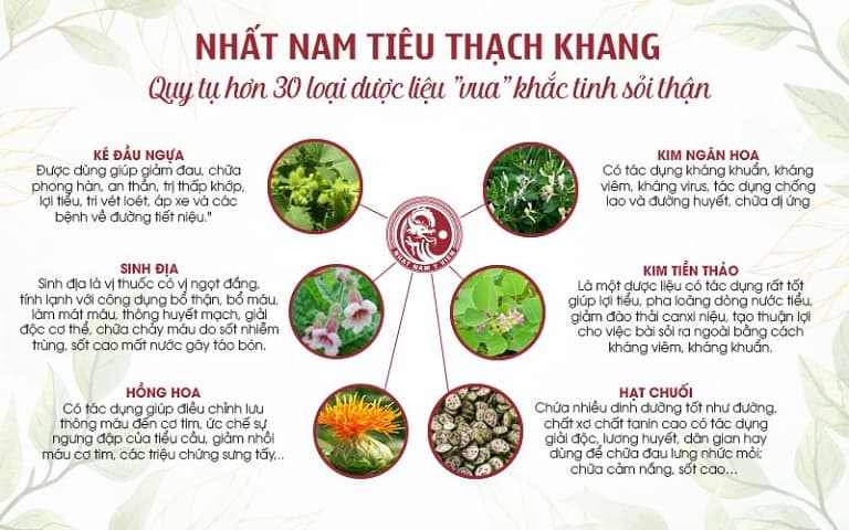 Bài thuốc chọn lọc nguồn dược liệu sạch, đạt tiêu chuẩn GACP - WHO