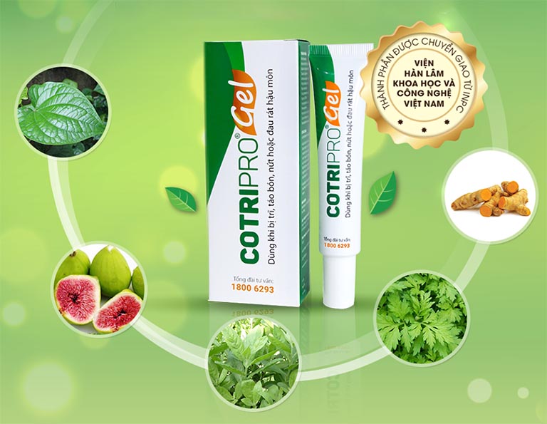 thành phần của gel cotripro