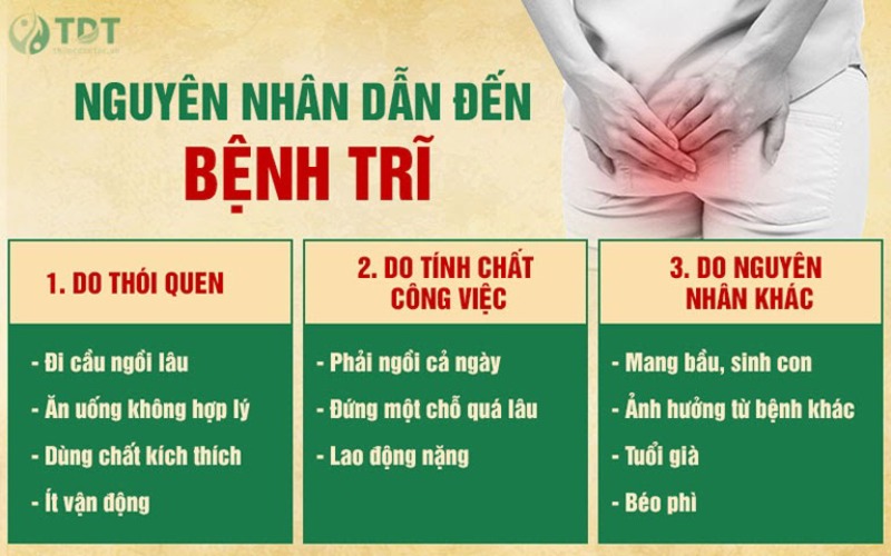  Một số nguyên nhân gây bệnh trĩ phổ biến