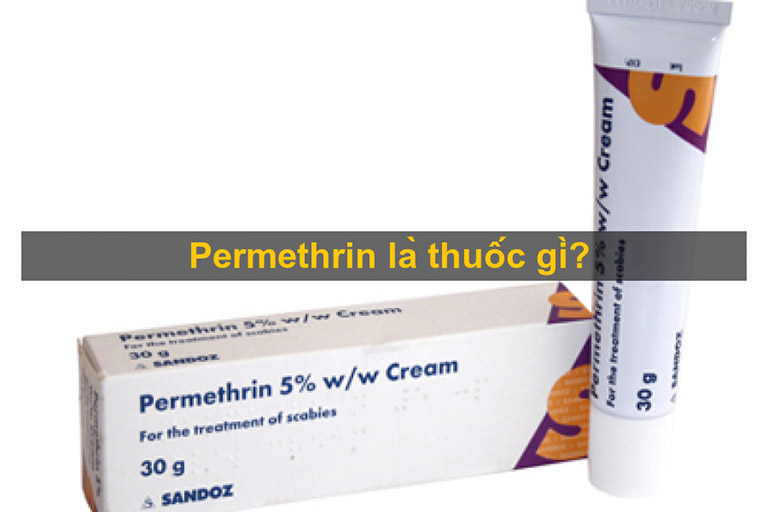 Permethrin là thuốc gì