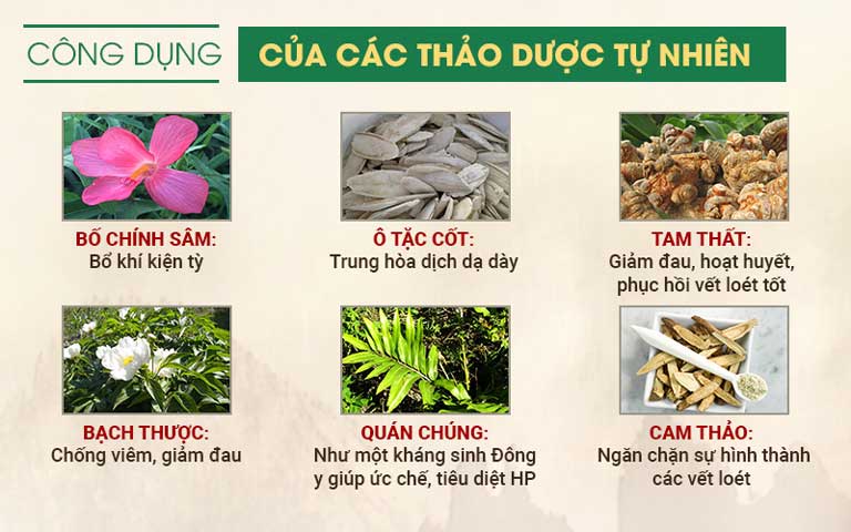 Sơ can Bình vị tán sự kết hợp nhiều thảo dược quý