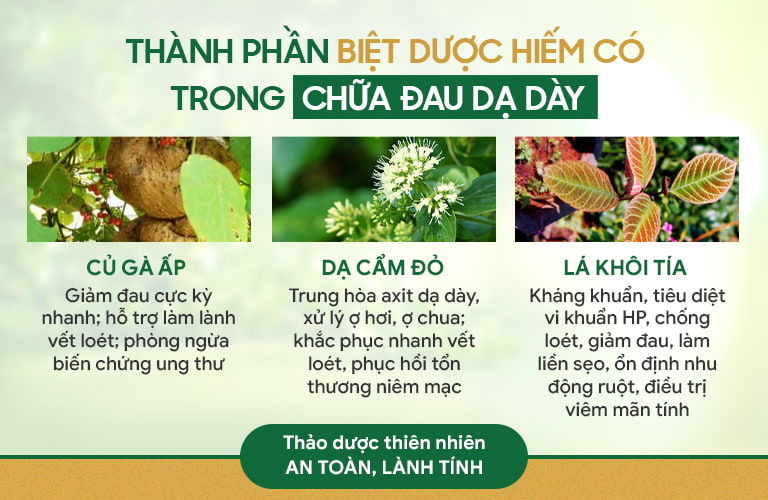 Một số thành phần chủ dược trong bài thuốc Sơ can Bình vị tán