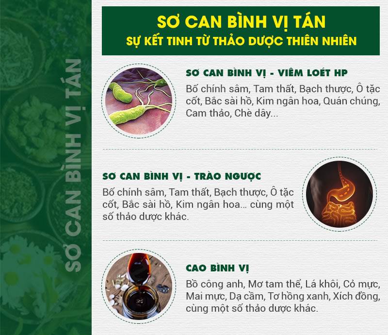 Thành phần quý của bài thuốc chữa xuất huyết dạ dày tại Thuốc dân tộc